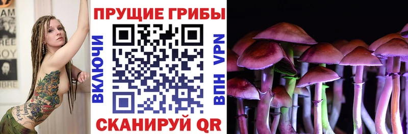 Псилоцибиновые грибы мухоморы  продажа наркотиков  Салаир 